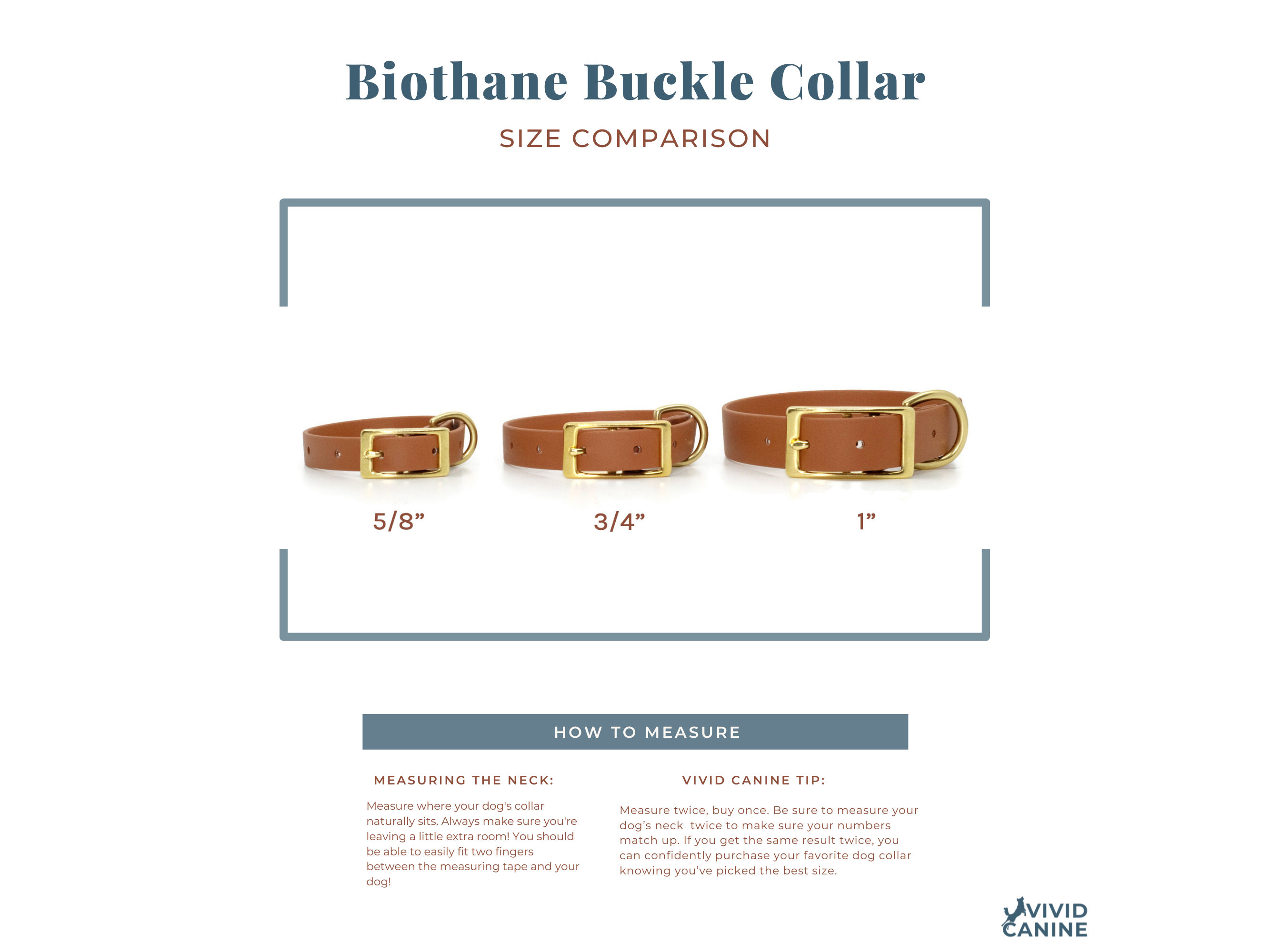 a diagram of a dog collar size comparison