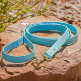 BioThane® Waterproof Dog Leash - Sky Blue