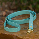 turquoise biothane dog leash with brass hardware