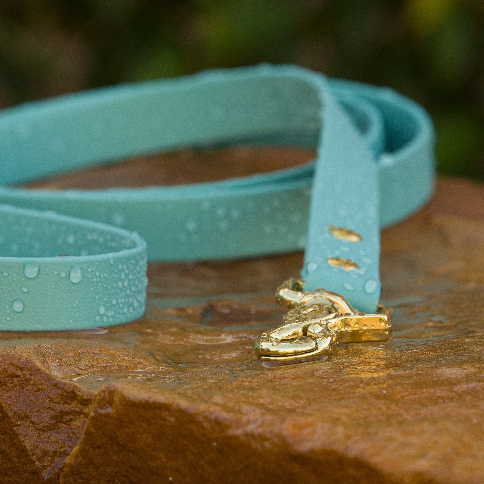 turquoise biothane dog leash with brass hardware