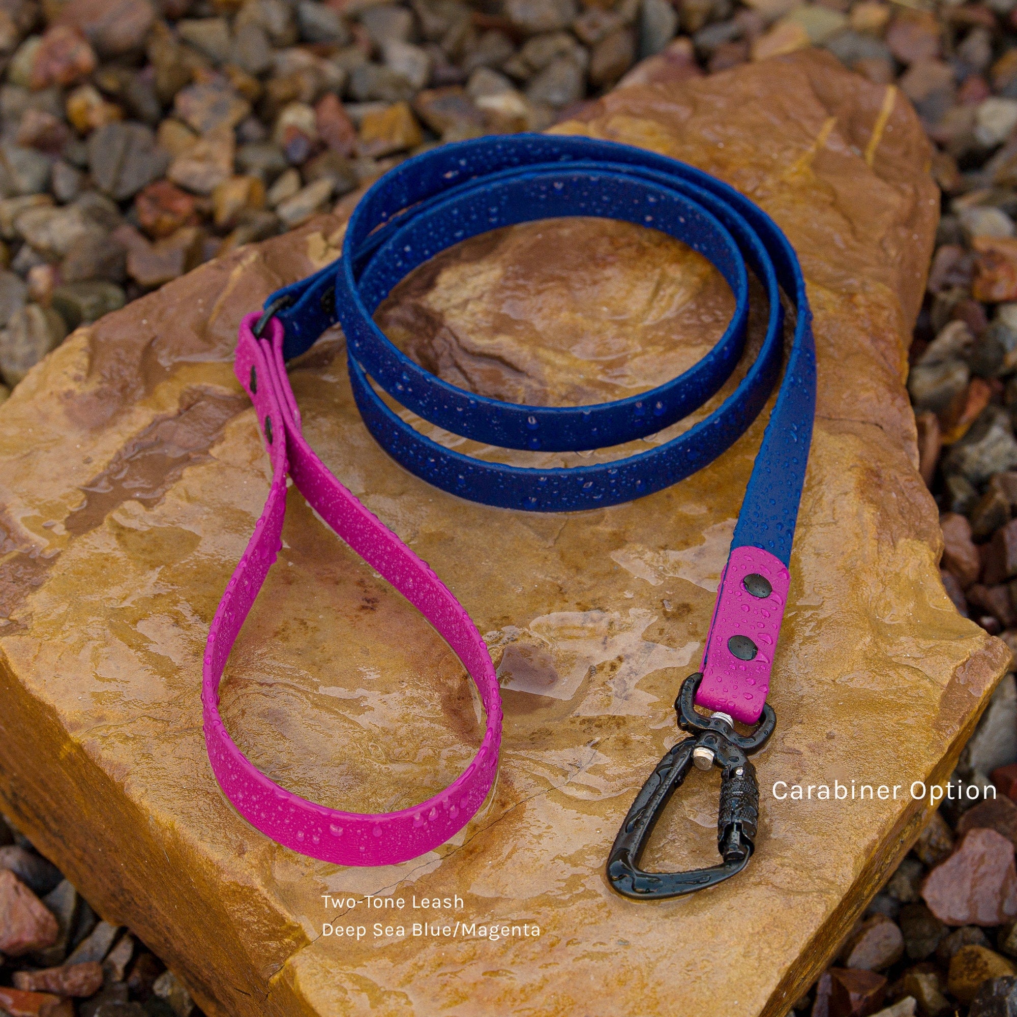 Deep sea blue and Magenta two tone biothane dog leash with matte black carabiner
