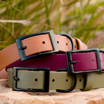biothane collars in caramel, wine and olive with matte black hardware
