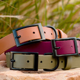 biothane collars in caramel, wine and olive with matte black hardware