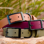 Stack of three biothane dog collars with matte black buckles