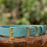 biothane buckle dog collar with brass hardware in dusty turquoise