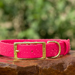 biothane buckle dog collar in passion fruit with solid brass hardware