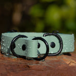 Fi Series 3 Compatible - BioThane® Waterproof Slip Collar