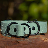 Fi Series 3 Compatible - BioThane® Waterproof Slip Collar