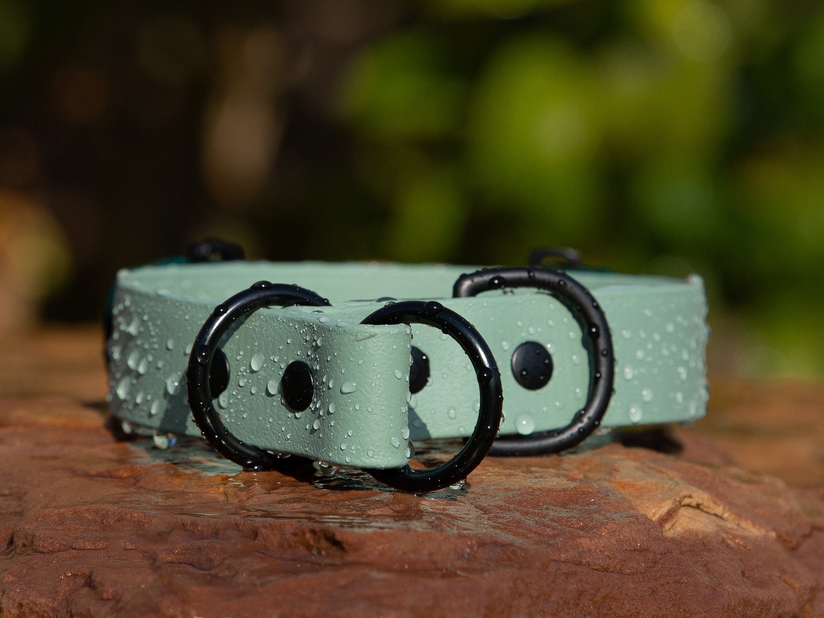 Fi Series 3 Compatible - BioThane® Waterproof Slip Collar