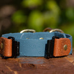 Fi Series 3 Compatible - BioThane® Waterproof Slip Collar