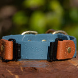 Fi Series 3 Compatible - BioThane® Waterproof Slip Collar