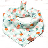 Dog Bandana - Just Peachy Sage