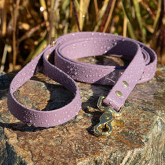 mauve biothane leash with brass hardware